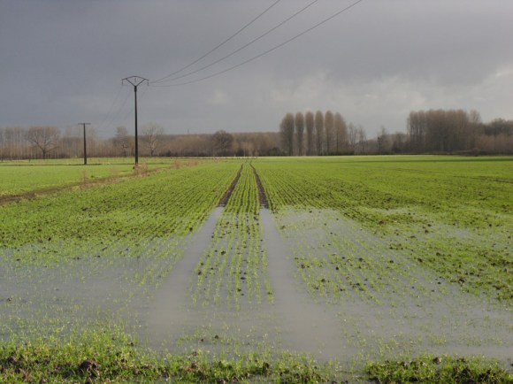Champs inondés Ronde des rois VTT