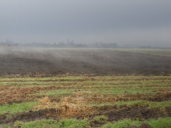 Lever de brouillard - Rando des renards des sables 2013