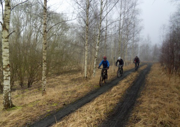 Cyclistes sur un terri - Rando des renards des sables 2013