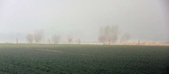Lever de brouillard - Rando des renards des sables 2013
