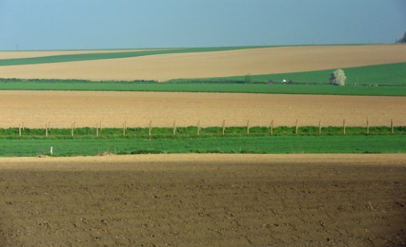 Paysage - Grinta La Tournay 2013