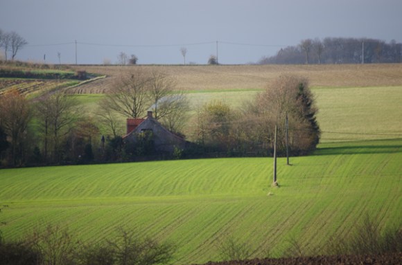 Champs en hiver - Monts des Flandres