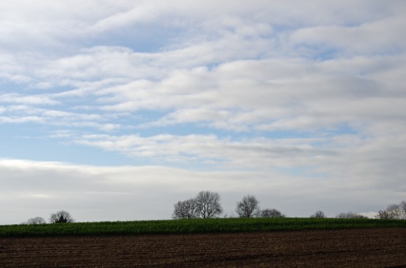 Champs en hiver - Monts des Flandres
