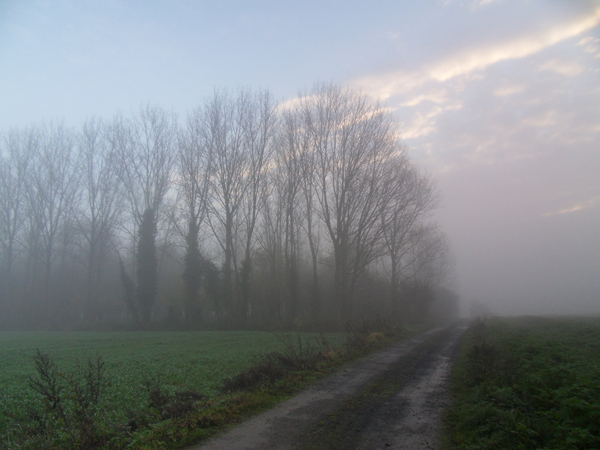 Paysage dans le brouillard - Raid VTT Saint Saulve 2013