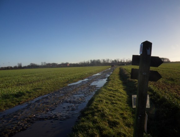 Ronde des rois VTT 2014 - chemin pavé