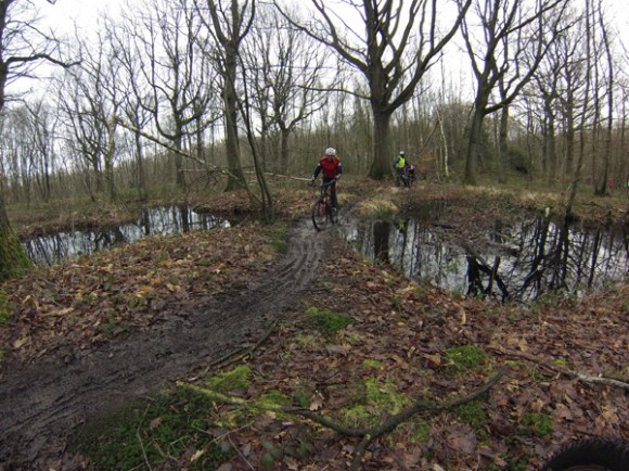 Cyclistes VTT - Randonnée du bois des dames Gosnay 2014