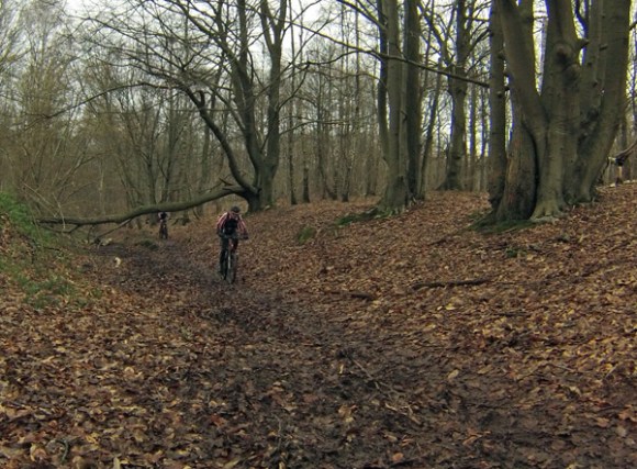 Cyclistes VTT - Randonnée du bois des dames Gosnay 2014