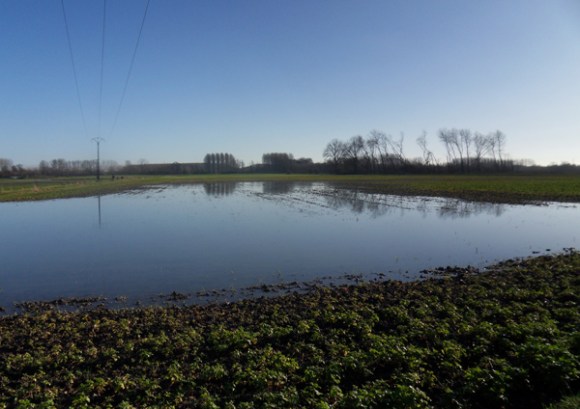 Ronde des rois VTT 2014 - champ inondé