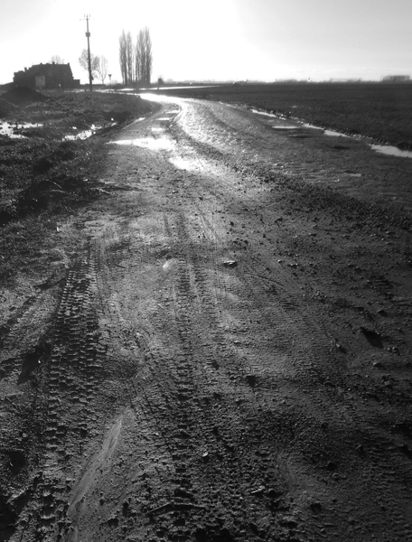 Ronde des rois VTT 2014 - carrefour de l'arbre