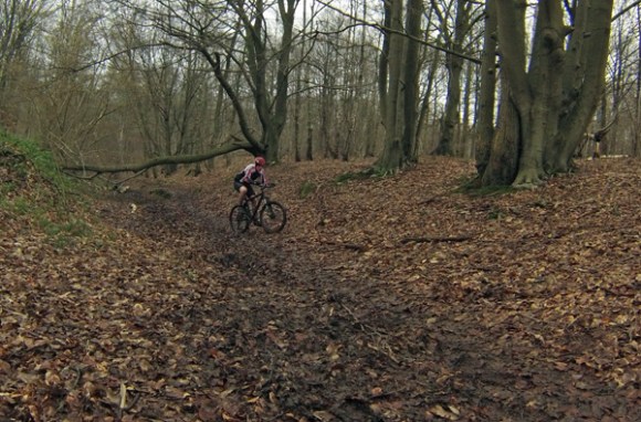 Cyclistes VTT - Randonnée du bois des dames Gosnay 2014
