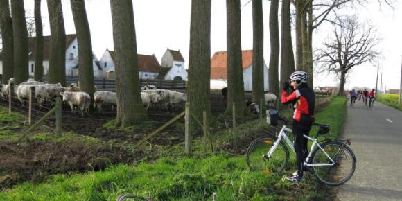 Cycliste - Retrouvailles 2014