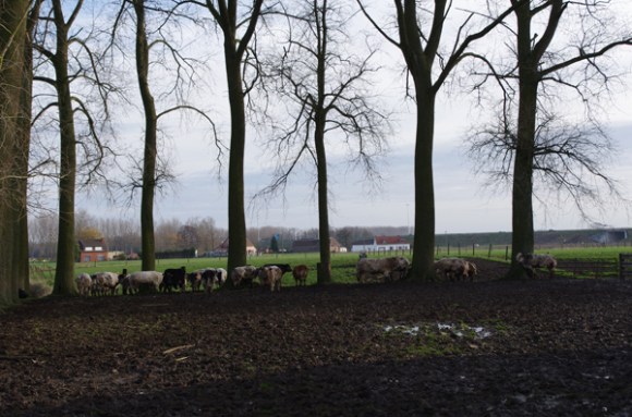 Paysage - Retrouvailles 2014