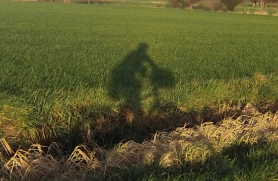 Cycliste ombre portée