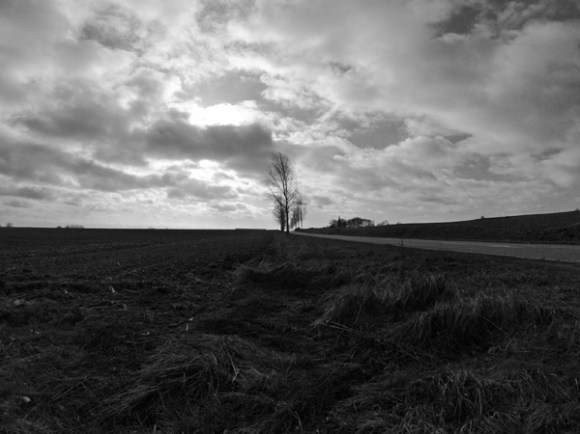 Champ - Ronde verte de la Pévèle VTT 2014 - Bersée
