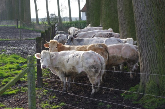 Paysage - Retrouvailles 2014