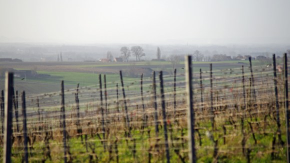 Panorama vu du Monteberg