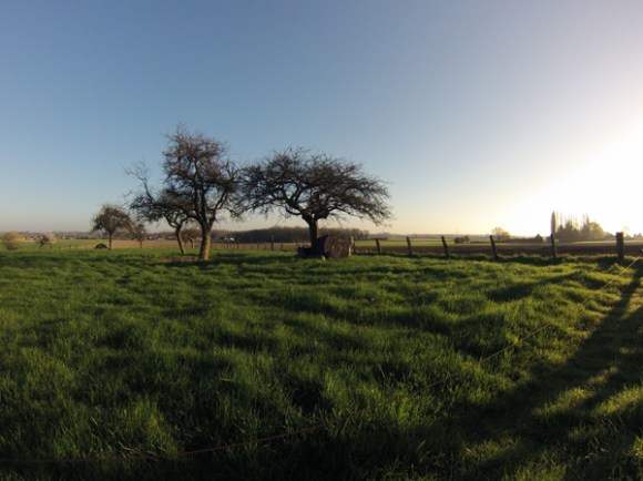 Arbres - Transpeveloise 2014