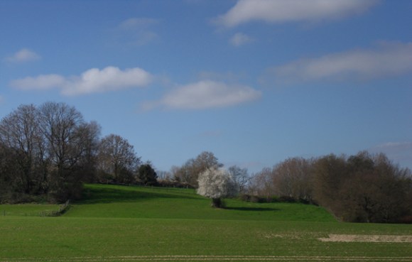 Paysage - Transpeveloise 2014