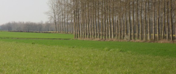 Paysage - Randonnée de l'amitié 2014 - Templemars