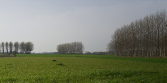 Paysage - Randonnée de l'amitié 2014 - Templemars