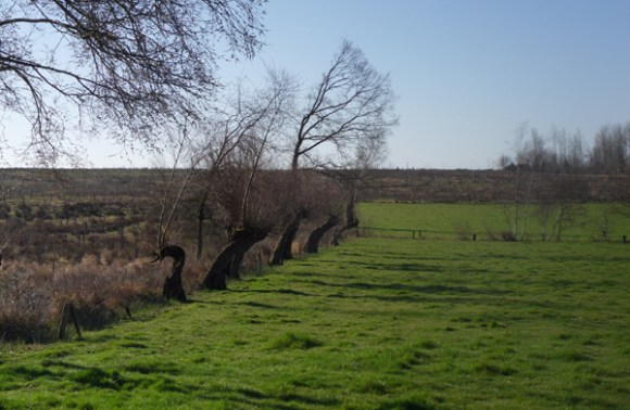 Paysage - Transpeveloise 2014