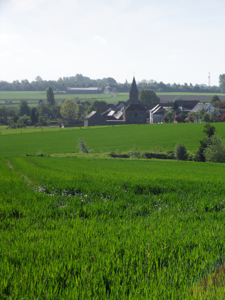 Paysage - La Patricia 2014 - Lys lez Lannoy