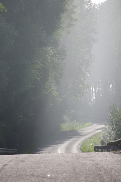 Route et Brume