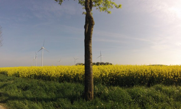 Paysage - Des Weppes à l'Artois Radinghem 2014