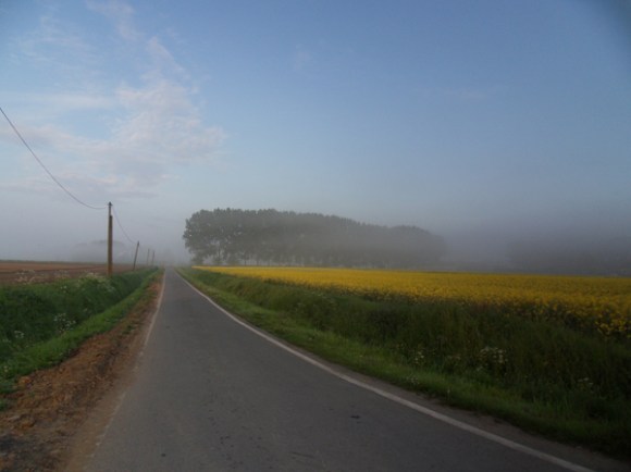 Paysage - Randonnée de Boeschepe 2014