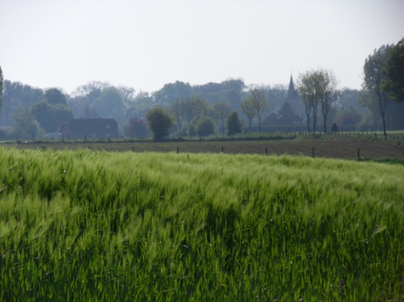 Paysage - Des Weppes à l'Artois Radinghem 2014