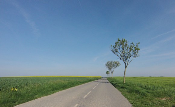 Paysage - Des Weppes à l'Artois Radinghem 2014