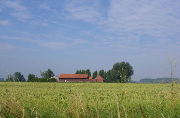 Brevet Roland Plamon - Seclin 2014 - paysage