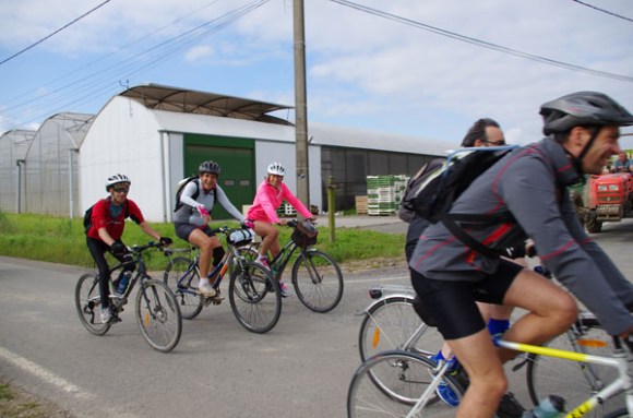 Cyclothon 2014 - cyclistes