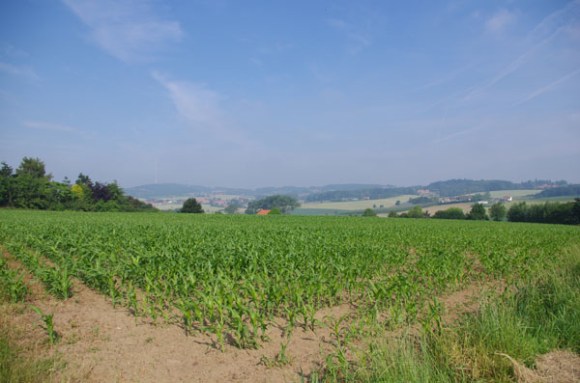 Brevet Roland Plamon - Seclin 2014 - paysage