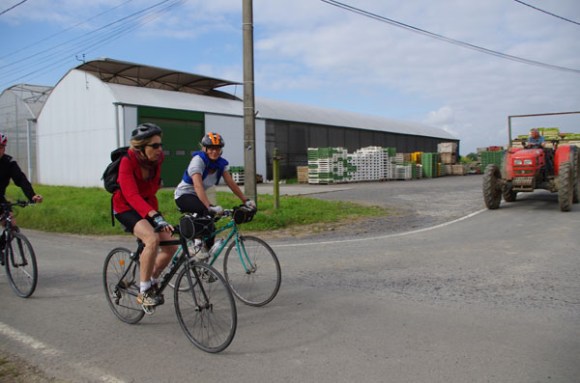 Cyclothon 2014 - cyclistes