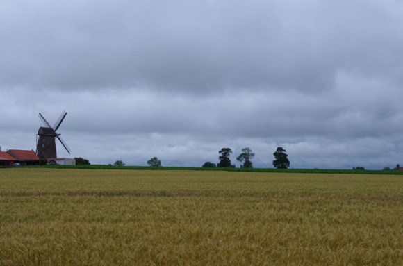Lille Etaples 2014 - Moulin