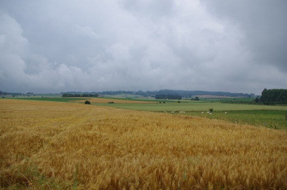 Euroclassic LKRT 2014 - Mont Saint Aubert