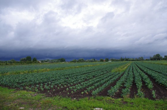 Lille Etaples 2014 - Paysage