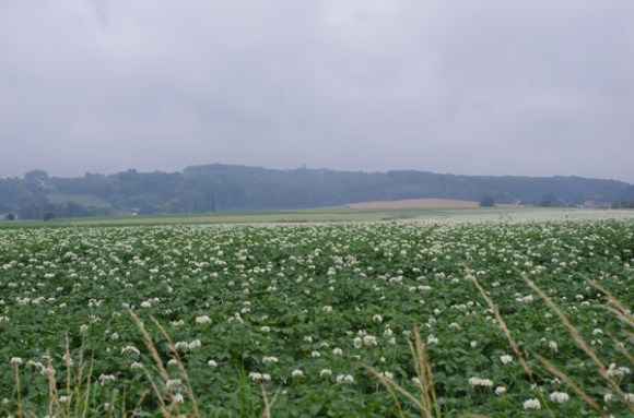 Euroclassic LKRT 2014 - Mont Saint Aubert