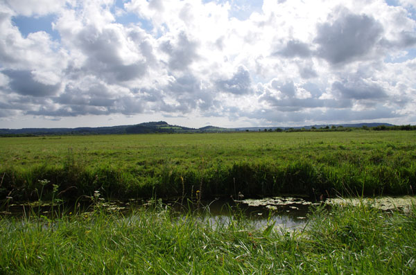 Vallée de la Divette