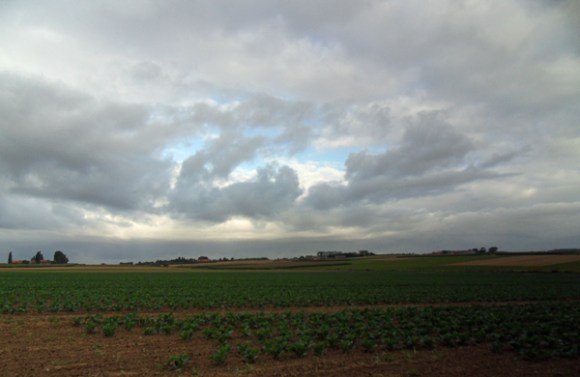 Ciel tourmenté près de Neuwkerque