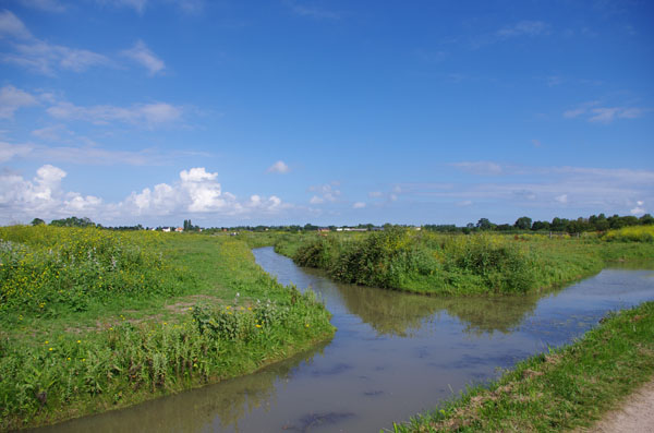 Vallée de la Divette