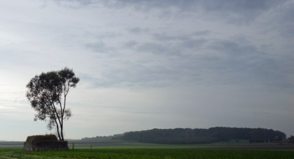 Randonnée Provin 2014 - Paysage