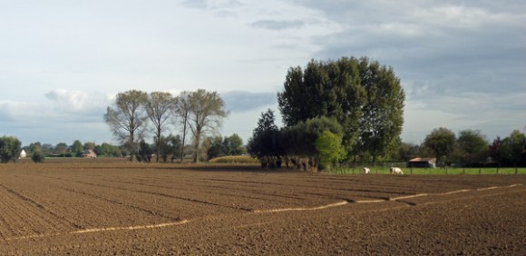 Souvenir Jean Claude Vandewaele Halluin 2014