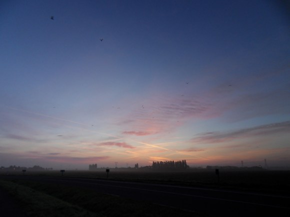 Randonnée Provin 2014 - Terril