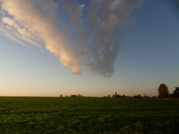 Souvenir Jacques Lohier - Phalempin 2014-2