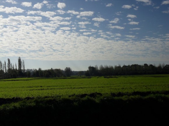 Souvenir Jacques Lohier - Phalempin 2014-18