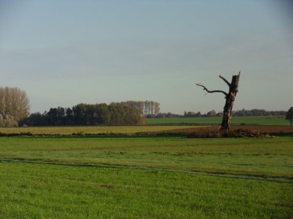 Souvenir Jacques Lohier - Phalempin 2014-8