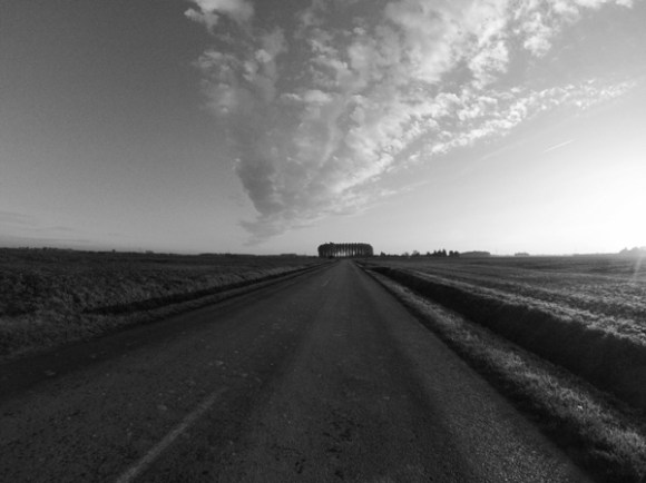 Souvenir Jacques Lohier - Phalempin 2014-22