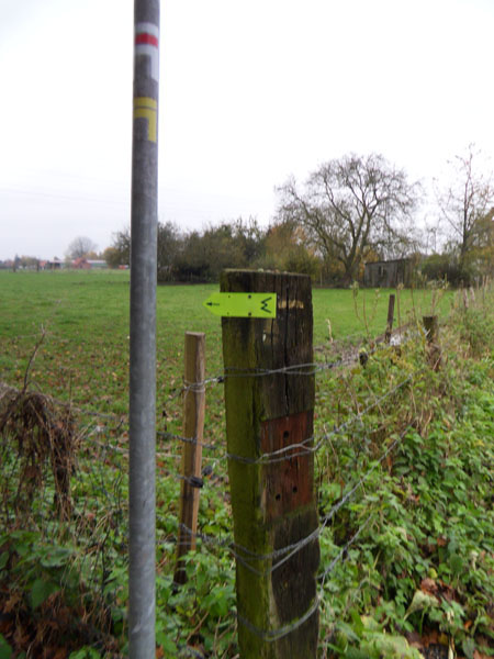 SAMSUNG DIGITAL CAMERA